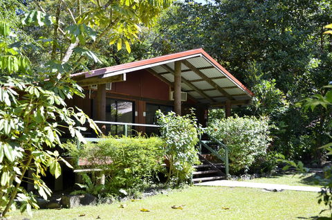 PK\'s Jungle Village - Accommodation Search 21