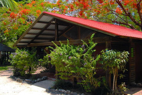 PK\'s Jungle Village - Accommodation Search 10