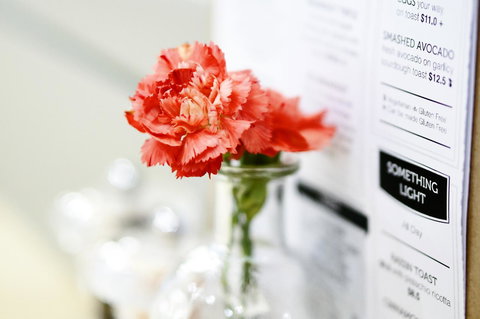 Madison Plaza Townsville - Accommodation Search 20