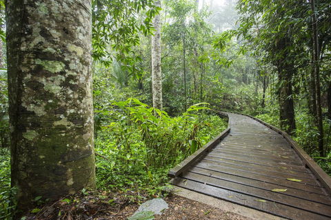 Riviera Mackay - Accommodation Search 25