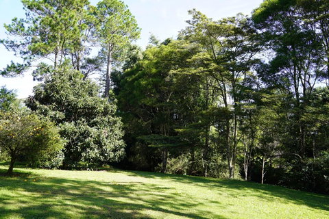 McCarthy Grove Maleny - Accommodation Search 2