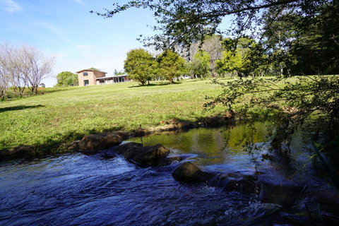 McCarthy Grove Maleny - Accommodation Search 5