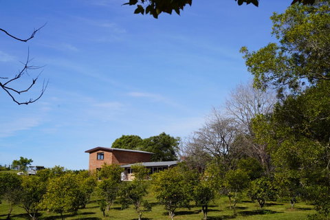 McCarthy Grove Maleny - Accommodation Search 4