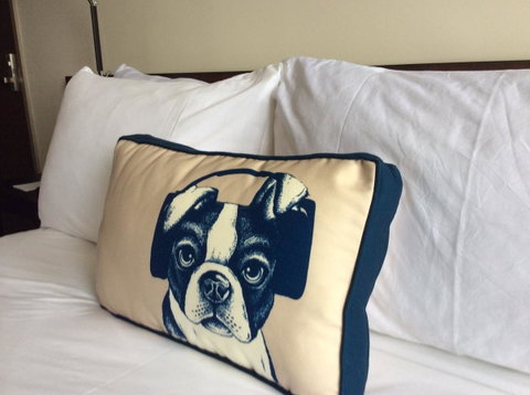 Hyatt Regency Brisbane - Accommodation Search 23