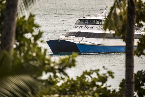 Fitzroy Island Resort - Accommodation Search 25