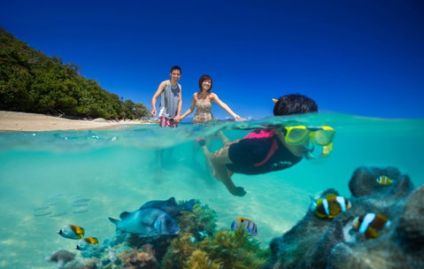 Fitzroy Island Resort - Accommodation Search 22