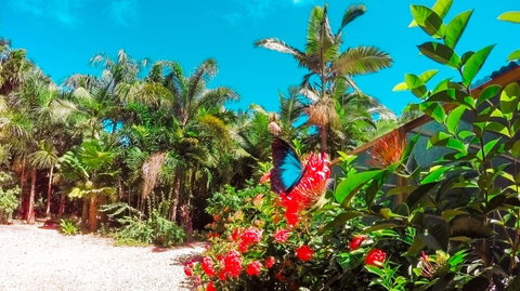 Boutique Bungalows - Accommodation Search 14