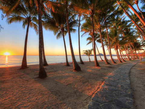 Palm Cove Beach Apartment - Accommodation Search 21