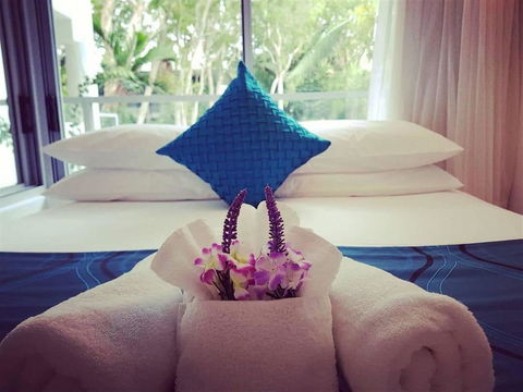 Palm Cove Beach Apartment - Accommodation Search 10