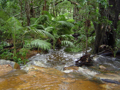 Forest Lodge: Little Villa - Accommodation Search 17