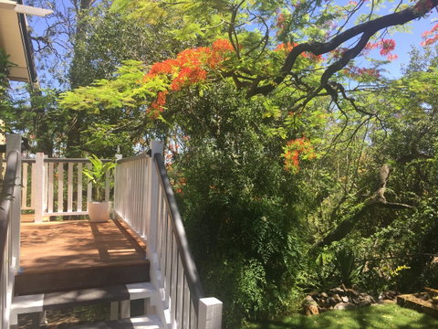 Halcyon On Bardon - Accommodation Search 7