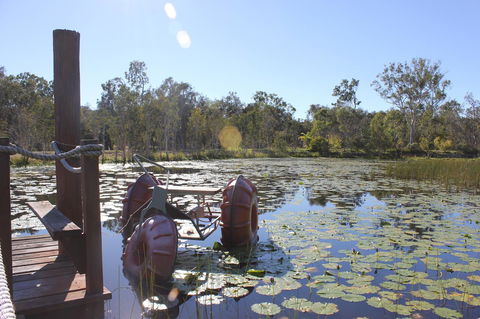 1770 Southern Cross Travellers Retreat - Accommodation Search 21