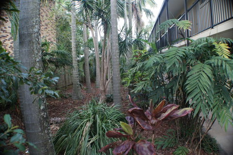 Best Western Airport 85 Motel - Accommodation Search 34