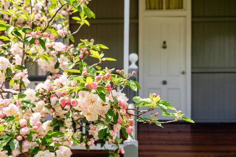 Apple Blossom Cottages - Accommodation Search 2