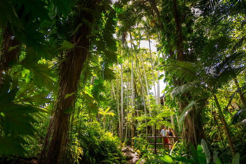 Cairns Colonial Club Resort - Accommodation Search 22