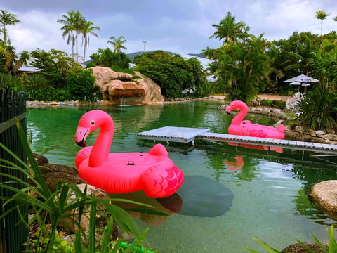 Cairns Colonial Club Resort - Accommodation Search 6