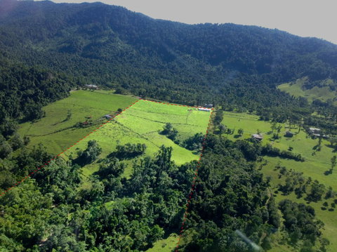 Misty Mountains Rainforest Retreat - Accommodation Search 33