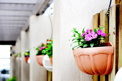 Spring Hill Mews Apartments - Accommodation Search 12