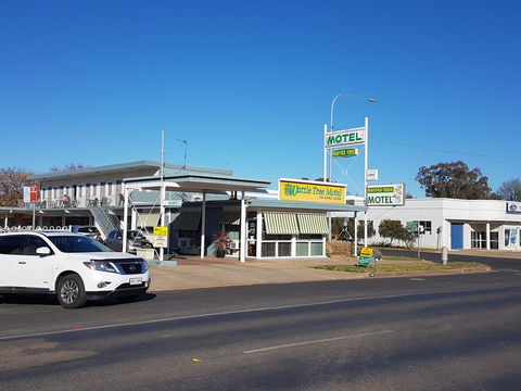 Wattle Tree Motel - Accommodation Search 0