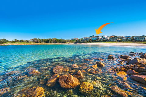 Whale View - Grand Luxurious Beachfront Home - Accommodation Search 0