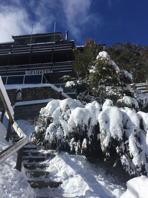 Winterhaus Lodge Thredbo Village - Accommodation Search 0