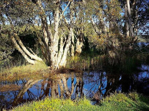 Wisteria Cottage On The Lagoon/Beach - Accommodation Search 2