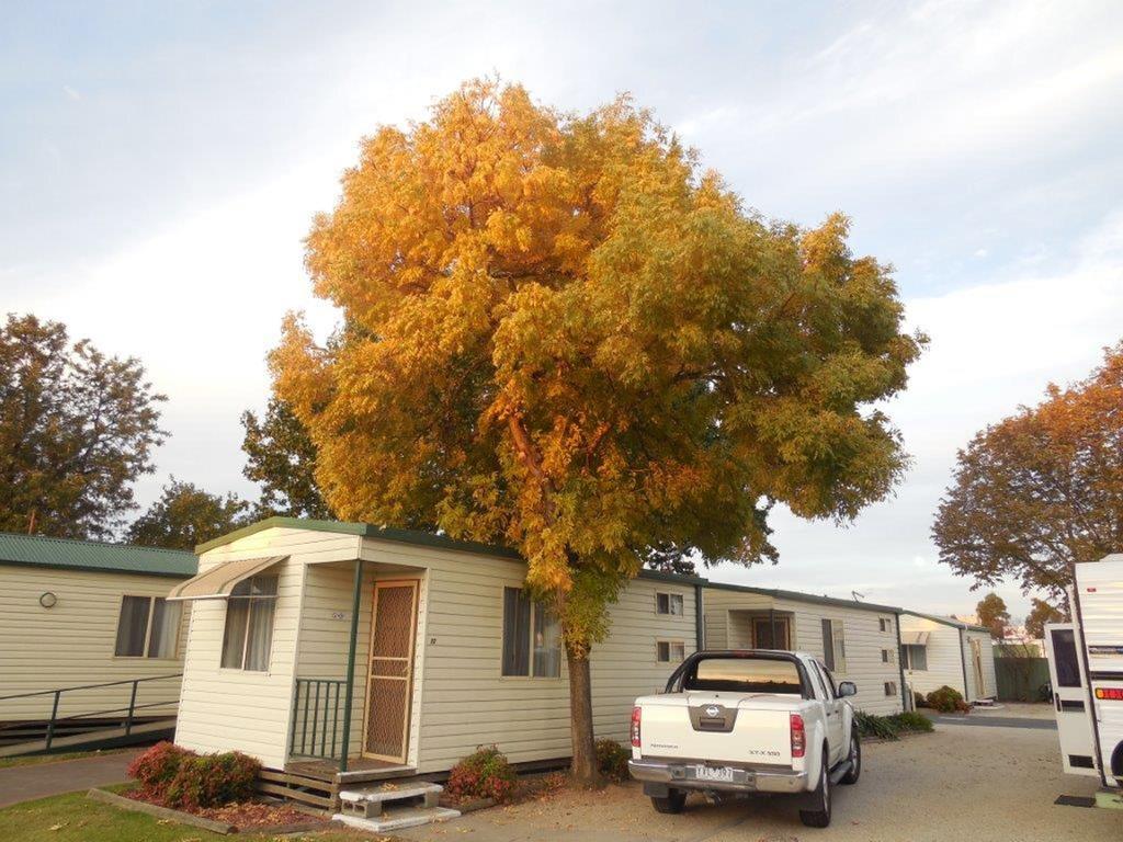 Wodonga VIC Accommodation Search