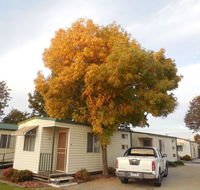 Wodonga Caravan  Cabin Park - Accommodation Search