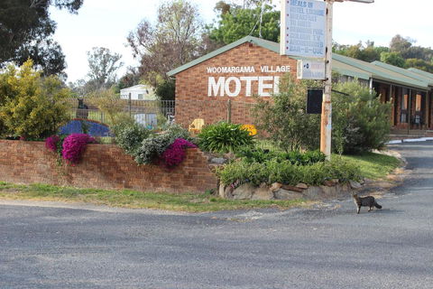 Woomargama Motel - Accommodation Search 3