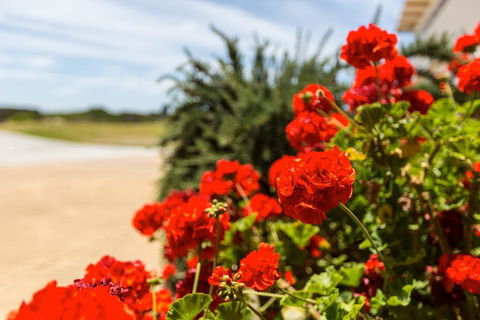 Wytonia Beachfront Accommodation - Accommodation Search 3