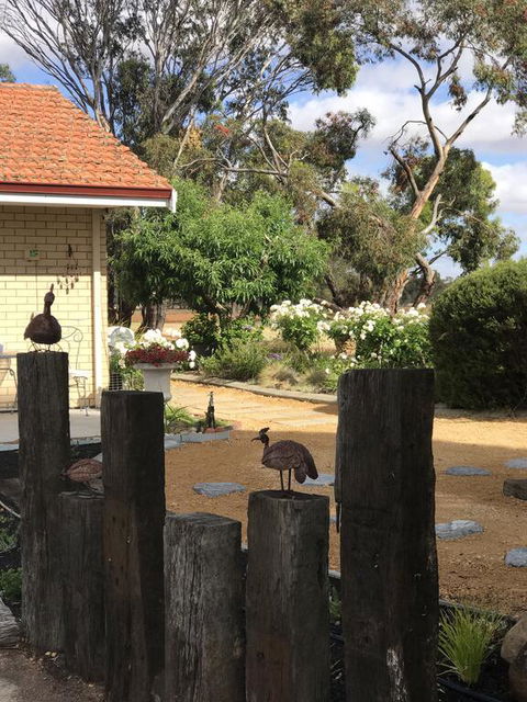 Yellow Gum Bed And Breakfast - Accommodation Search 2