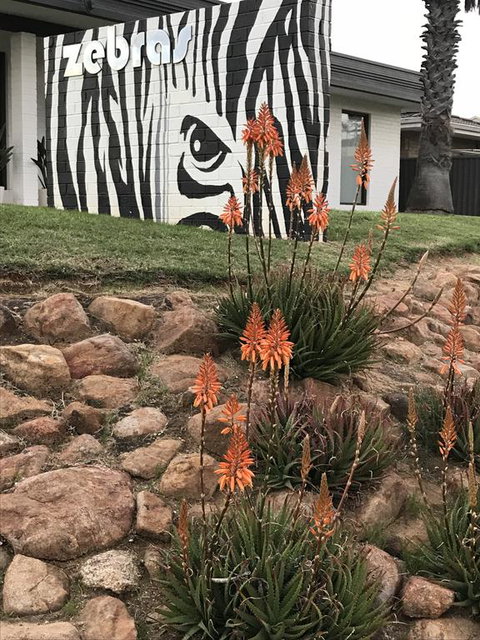 Zebras Guest House Geraldton - Accommodation Search 1