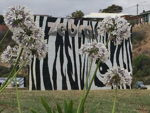 Zebras Guest House Geraldton - Accommodation Search 0