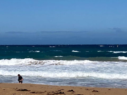 A Beach Front Apartment - Accommodation Search 3