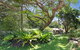 A Charming Queenslander - thumb 1