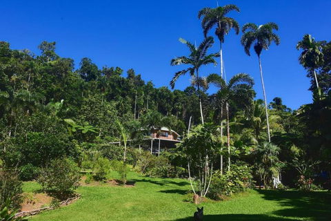 A Daintree Garden - Accommodation Search 0