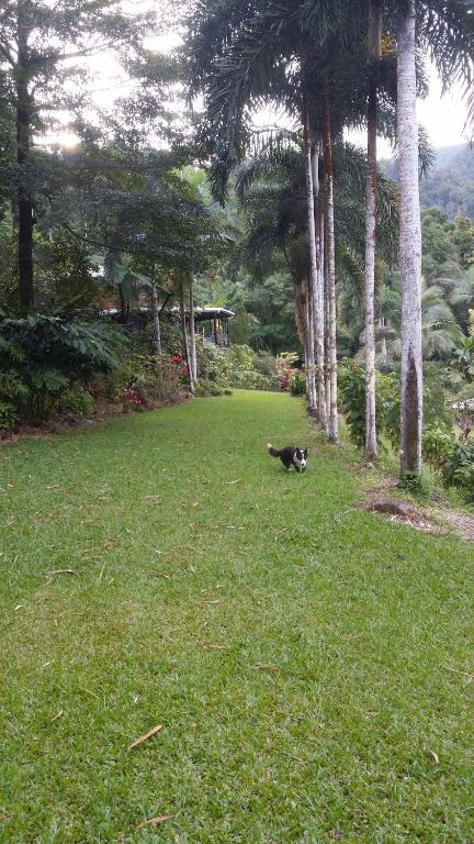 A Daintree Garden - Accommodation Search 1