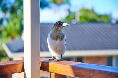 A Kids Dream & Paradise For Parents - Accommodation Search 2