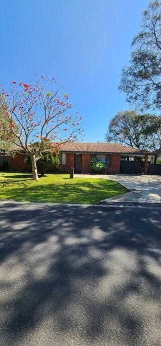 Abbey Beach Cottage - Accommodation Search 1