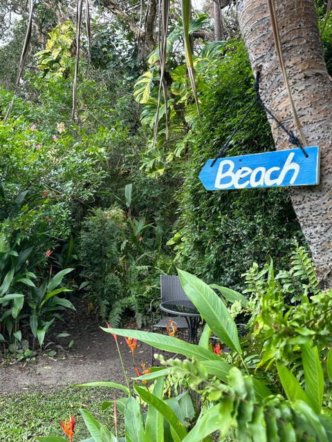 Absolute Beach Front Home -Dogs, Surf, Relax, Bush - Accommodation Search 2