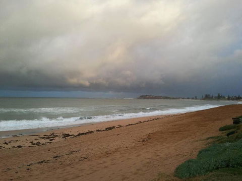Absolute Beachfront 2BR Pet-Friendly Terrace - The Coachhouse - Accommodation Search 3