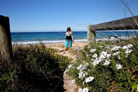 Absolute Beachfront Mollymook - Accommodation Search 4