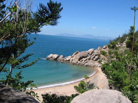 AFFORDABLE ISLAND ESCAPE! Queen Studio, Nelly Bay - Accommodation Search 3