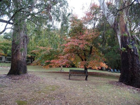 Alpine Riverside Cottages - Accommodation Search 4
