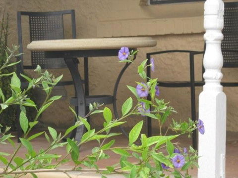 Amalie Cottage Waikerie Unit 1 - Accommodation Search 2