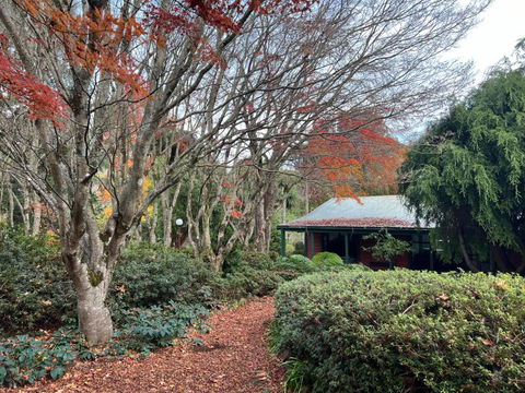 Amaroo Guesthouse - Accommodation Search 1