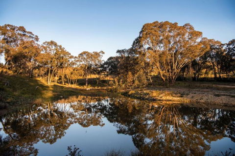 Amethyst - 1 Bed With Hot Tub - Kundalini Lodge - Accommodation Search 3
