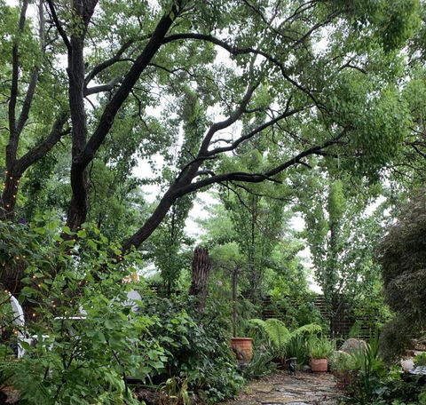 Ananda Cottage - Accommodation Search 0