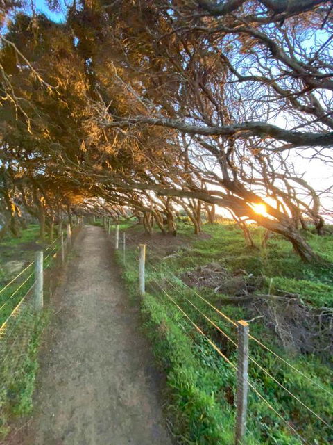 Anglesea Rivergums - Accommodation Search 3