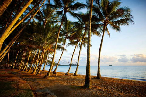 Alamanda Palm Cove By Lancemore - Accommodation Search 3